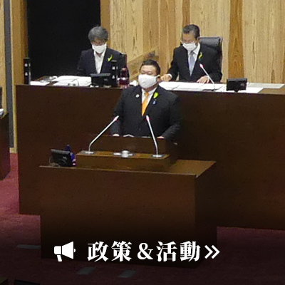 政策