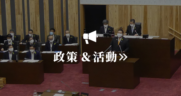 政策